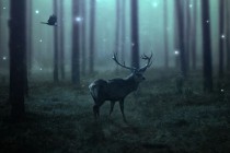 Create a Dark, Emotional Deer Photo Manipulation in Photoshop